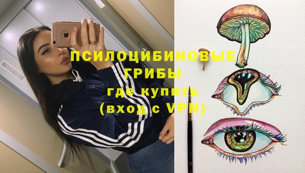 эйфоретик Осташков