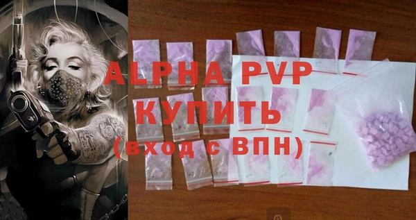 эйфоретик Галич
